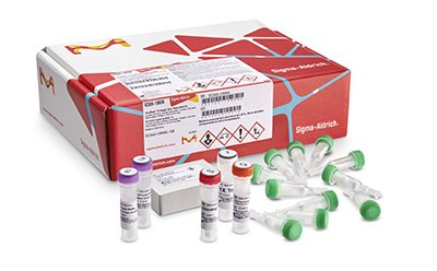 GenElute™-E Single Spin DNA purification kit GenElute™-E Single Spin DNA purification kit for genomic DNA