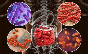 Microbiome Multi-omic Services Microbiome Multi-omic Services