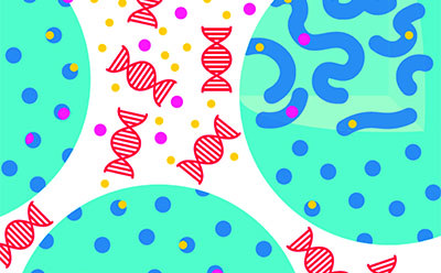 GenElute™-E negative chromatography principle GenElute™-E negative chromatography (size exclusion) principle