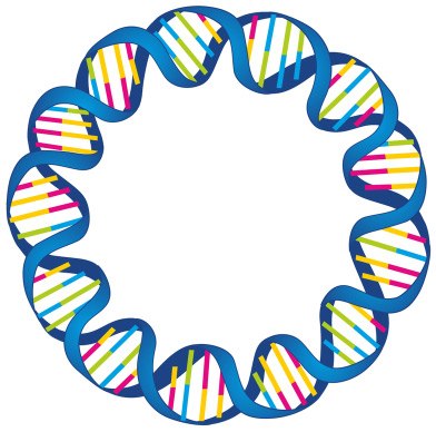 Plasmid purification Bacterial plasmid DNA purification for molecular cloning, transcription, transformation, recombinant protein expression, and PCR applications