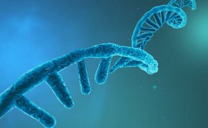 RNA purification Purification kits for RNA extraction and isolation