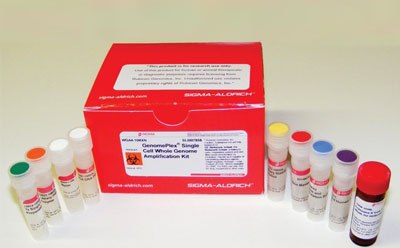 Whole Genome Amplification (WGA) kits and resources Complete genome amplification kits