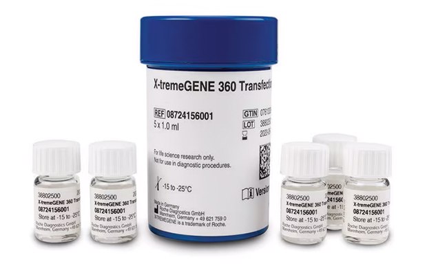Six laboratory bottles arranged in two rows. The back row features a larger bottle with a blue cap labeled “X-tremeGENE 360 Transfection Reagent,” including product details and storage instructions. In front, there are five smaller bottles with white caps, each labeled with different codes: D4072, D4073, D4074, D4075, and D4076. Six laboratory bottles arranged in two rows. The back row features a larger bottle with a blue cap labeled “X-tremeGENE 360 Transfection Reagent,” including product details and storage instructions. In front, there are five smaller bottles with white caps, each labeled with different codes: D4072, D4073, D4074, D4075, and D4076.
