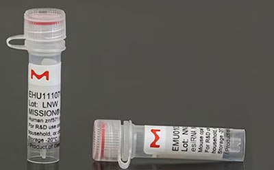 MISSION® esiRNA The image depicts two clear plastic sample tubes with red screw caps. Each tube bears a prominent red “M” logo at the top.