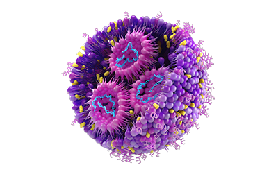 Cross-section view of liposome used in drug product development and manufacturing   Cross-section view of liposome used in drug product development and manufacturing