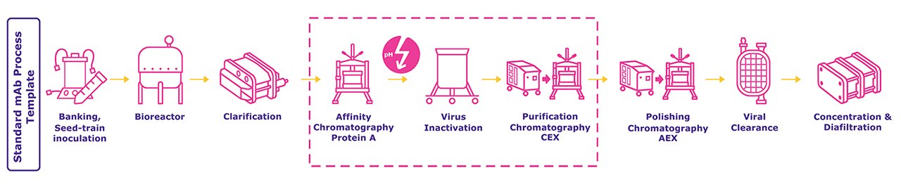 mAbs process workflow mAbs Workflow