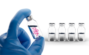 Protein Stabilizers Parenteral formulations using protein stabilizers
