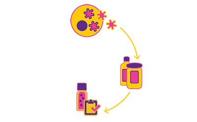 VirusExpress™ 렌티바이러스 제품 플랫폼은 서스펜션 적용 세포주, 화학적으로 지정된 배지, 입증된 성능을 활용한 제품 공정을 특징으로 합니다.