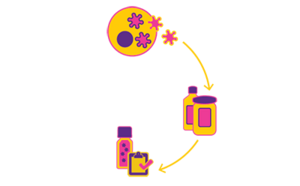 바이러스 벡터 업스트림 플랫폼 바이러스 벡터 업스트림 플랫폼