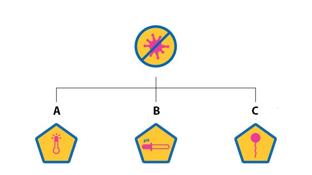 Virus Inactivation A: Heat Inactivation; B: Low pH Treatment; C: Detergent Treatment