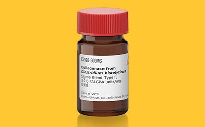 Collagenase bottle collagenase bottle