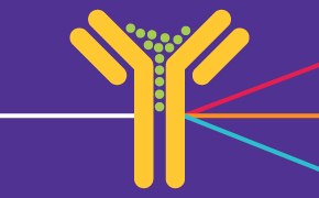 Flow Cytometry Antibodies a graphical representation of an antibody’s interaction with antigens, featuring a yellow Y-shaped structure on a purple background with green dots at the tips, and colored lines suggesting different pathways or interactions.