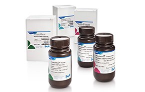 Immobilon® Chemiluminscent Western Blotting Substrates Immobilon® Forte, Crescendo, and Classico Chemiluminscent Western Blotting Substrates