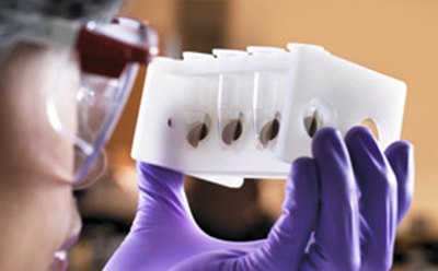 Magnetic beads for protein purification Lab worker looking at a magnetic beads in tube in rack for protein purification.