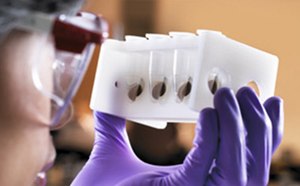 Biogurantee program Biogurantee program