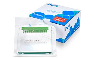 mPage® Bis Tris Gel Kit Protein Electrophoresis Gels & Buffers