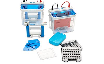 mPAGE® Mini Gel System mPAGE® 미니 단백질 겔 전기영동 시스템