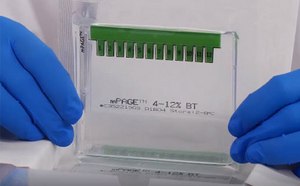 mPAGE™ bis-tris gels for protein electrophoresis mPAGE™ bis-tris gels for protein electrophoresis