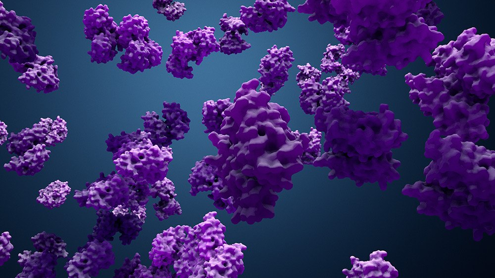 Protein Enzyme The image is a 3D rendering of intricate purple protein molecules floating against a deep blue background. The molecules vary in size and are scattered throughout, with a complex structure featuring multiple protrusions and cavities. They are highlighted by the lighting, giving them a glossy appearance.