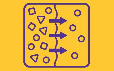 a vibrant yellow background with a centered purple square that has rounded corners. Inside the square, there is a symmetrical design with three horizontal arrows: one at the top pointing to the left and right, one in the middle pointing to both sides from the center, and one at the bottom mirroring the top arrow. A vertical line runs down from the top to bottom arrow through their points of symmetry. Scattered around these arrows are geometric shapes: circles and diamonds or rhombuses. a vibrant yellow background with a centered purple square that has rounded corners. Inside the square, there is a symmetrical design with three horizontal arrows: one at the top pointing to the left and right, one in the middle pointing to both sides from the center, and one at the bottom mirroring the top arrow. A vertical line runs down from the top to bottom arrow through their points of symmetry. Scattered around these arrows are geometric shapes: circles and diamonds or rhombuses.