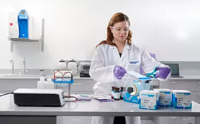 Scientist at a lab table working on Western blot Scientist at a lab table working on Western blot