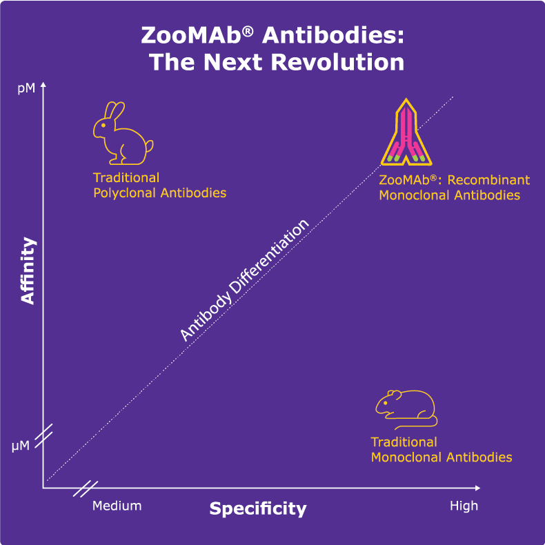 ZooMAb® 항체 품질 차트 ZooMAb® 항체 품질 차트
