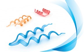 재조합/융합 태그 단백질 정제 바이오공정을 위한 친화성 크로마토그래피 레진