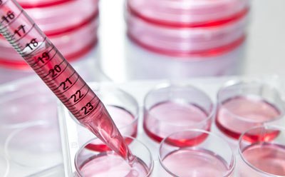 Serological pipets for cell culture Serological pipets for dispensing cell culture media