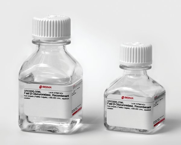 β-Glucuronidase from patella vulgata β-Glucuronidase and sulfatase enzymes for drug analysis