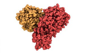 Proteases for Research Applications Proteases for Research Applications