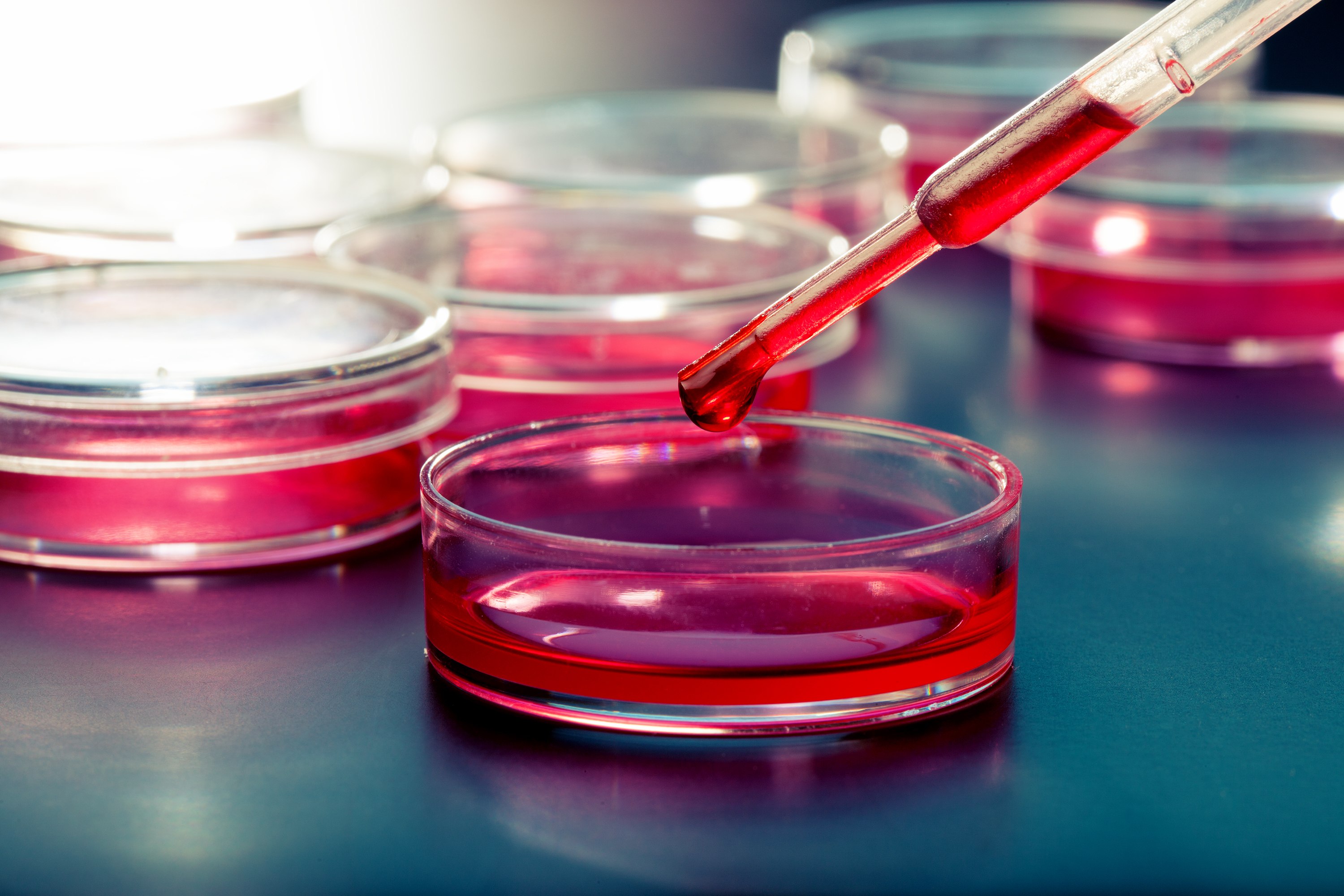 Tissue dissociation and cell detachment reagents and resources. Tissue dissociation and cell detachment reagents and resources.