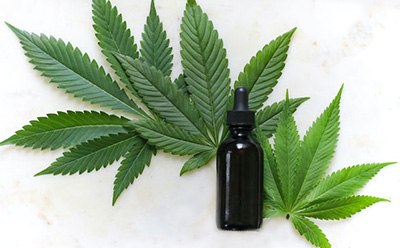 Cannabis Standards A dark-colored dropper bottle lies on a white surface, surrounded by green cannabis leaves. The bottle is positioned to the right of the image, with its dropper cap pointing towards the top left corner. The leaves are spread out around the bottle, showcasing their serrated edges and prominent veins.
