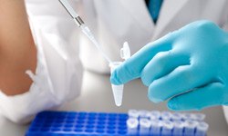 PCR / Amplification PCR / Amplification