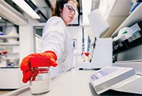Manufacturing Platform Developed for Large-Scale Production of COVID-19 Vaccine Candidate Manufacturing Platform Developed for Large-Scale Production of COVID-19 Vaccine Candidate