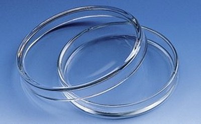 Petri Dishes glass Petri dishes