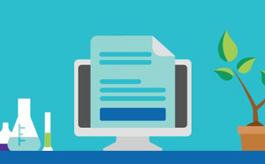 Document Search Document Search