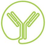 mAb product characterization mAb 제품 특성화