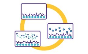 drawings of washing /blocking step in lateral flow assay drawings of washing /blocking step in lateral flow assay