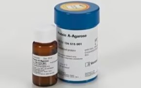 Protein A Agarose A small, brown glass bottle next to a larger blue plastic bottle with a white label