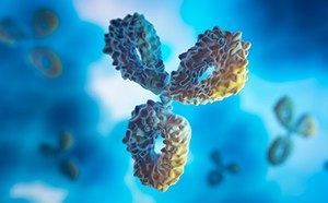Antibody Drug Discovery Immunoglobulin G antibody in blue and yellow