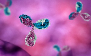 Lead Selection and Optimization 3D illustration of antibodies in aqua and magenta