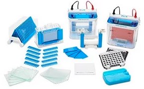 Gel electrophoresis equipment including mPAGE® mini gel tanks, gel casters, drying rack, pouring plates, and combs