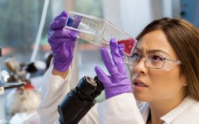 Cell Lines and Specialty Cell Culture Process scientist working with cell culture media
