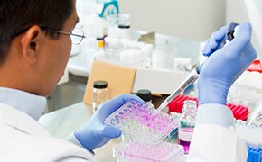 Protease Male scientist wearing blue nitrile gloves fills protein solutions in multi-well plate with pipette.