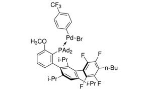 Buchwald G6 Precatalysts: Oxidative Addition Complexes