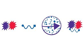 Article: Crosslinkers Selection Guide