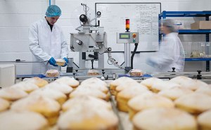 Safe Food Manufacturing Various fruits, vegetables, nuts, beans, and berries in bowls