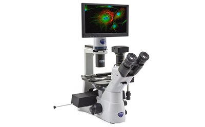 IM-DGFL: IM-3 Digital Inverted LED fluorescence microscope Glassware from UV Quartz Material, lightpath 10mm, Type 21FL Macro Fluorescence Cuvette with PTFE Stopper, from Seller FireflySci, product reference 21FLUV10