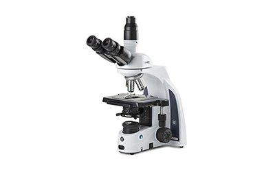 iScope Series Compound Microscopes Euromex iScope Series Compound Microscope from company Globe Scientific