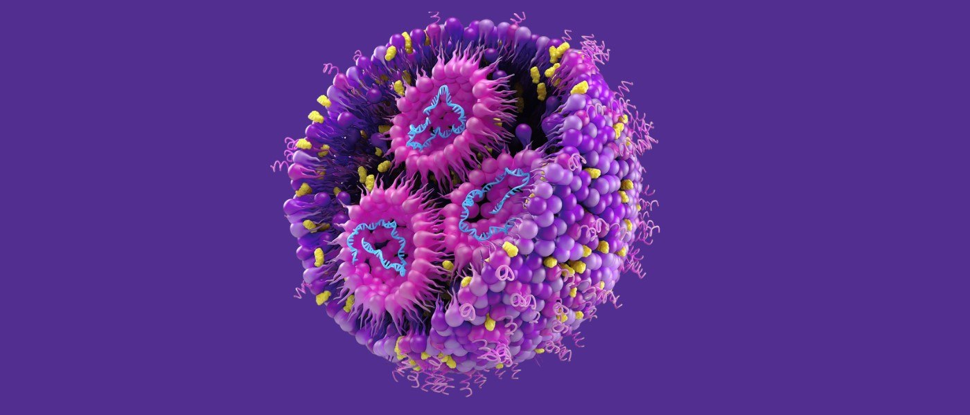LNP Graphic Rendering Rendering of a lipid nanoparticle, which consists of different lipids and mRNA inside.